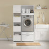 SoBuy BZR230-W Colonne de Buanderie pour Lave-Linge avec 2 Tiroirs – Penderie Escamotable, MDF – 66×60,5×186 cm, Blanc