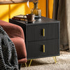 SoBuy FBT115-SCHx2 Lot de 2 Table de Chevet - Table de Nuit avec 2 tiroirs, Table d'appoint pour Chambre à Coucher - Meuble de Rangement Moderne, Noir L40 x P40 x H47 cm