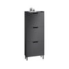 SoBuy FSR151-H-SCH Armoire à Chaussures 3 Abattants Ultra-Slim 19cm, Rangement Compact pour Entrée Couloir – 50x19x129 cm, Noir