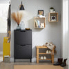 SoBuy FSR151-SCH Armoire à Chaussures 2 Abattants Ultra-Slim 19cm, Rangement Compact pour Entrée Couloir – 50x19x91 cm, Noir