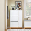 SoBuy FSR189-WN Armoire à Chaussures 3 Abattants et 1 Porte, Grande Capacité 20 Paires pour Entrée – 80x34x122 cm, Blanc et Naturel