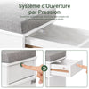 Prévente SoBuy FSR64-WG + FSR82-L-WG Ensemble Double Coffre à Chaussures avec Coussin, Rangement Abattant, Gain de Place – Effet Bois Vieilli Blanc