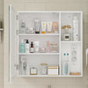SoBuy BZR239-E-W Armoire Miroir de Salle de Bain avec LED et Prises – Meuble Mural, Étagères – 60×15,5×60 cm, Blanc