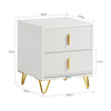 SoBuy FBT115-Wx2 Lot de 2 Table de Chevet - Table de Nuit avec 2 tiroirs, Table d'appoint pour Chambre à Coucher - Meuble de Rangement Moderne, Blanc L40 x P40 x H47 cm