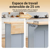 SoBuy FKW71-II-HG Ìlot Cuisine Mobile avec Plan Extensible – Gain de Place, Gris
