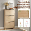 SoBuy FSR213-N Meuble à Chaussures Gain de Place – Entrée Étroite – 60x24x120 cm Naturel