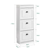 SoBuy FSR94-WG Meuble à Chaussures Gain de Place – Entrée Étroite – 53x24x118 cm Effet Bois Blanc