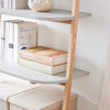 SoBuy HSTR02-HG Étagère Échelle, Bibliothèque à 4 Niveaux, Étagère de Rangement, Meuble de Rangement sur Pieds, Bibliothèque Murale, pour Bureau, Salon, Chambre, Cuisine, 65x39x169cm, Gris